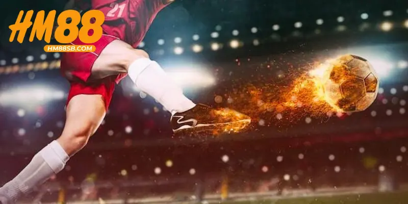 Cách chơi cá cược bóng chuyền chi tiết từ A-Z cho tân thủ